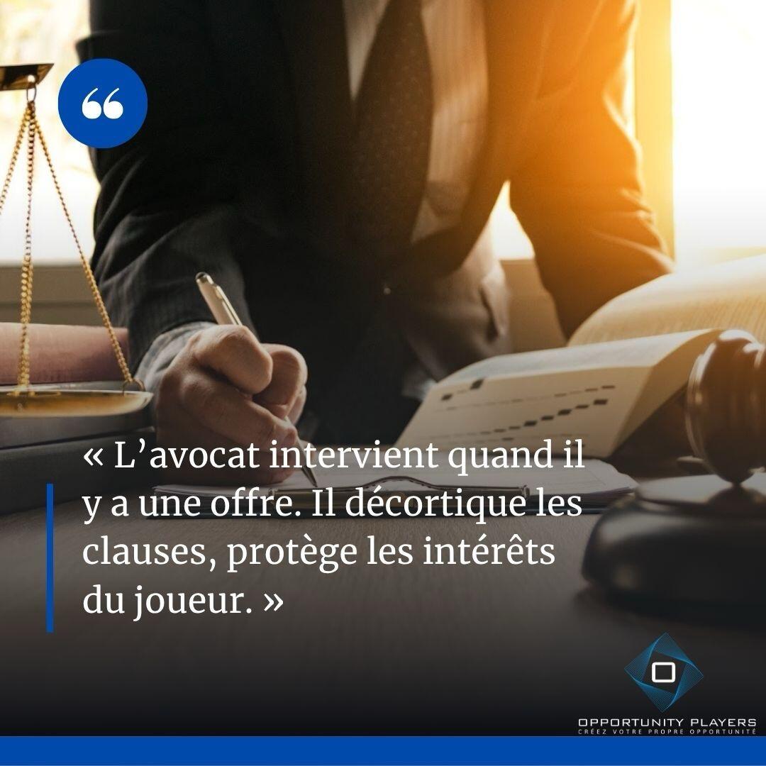 avocat-2.JPG